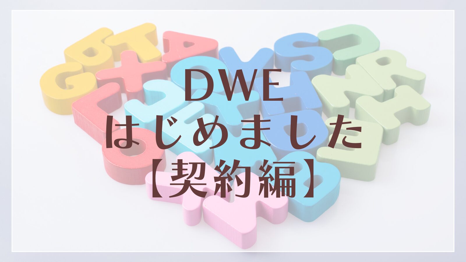 DWE契約しました】料金&パッケージについて紹介します。